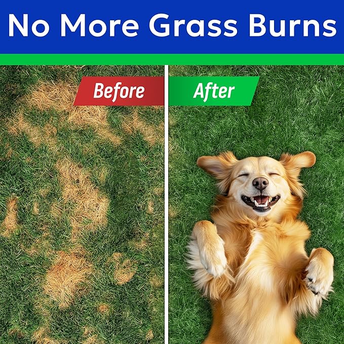 BARK&SPARK Green Grass Chews - Pee Grass Spot Saver Caused by Dog Urine - Urine Neutralizer for Lawn, Gut Health Probiotics & Digestive Enzymes,Lawn Burn from Dog Urine, Grass Burn Spot Chews (240Ct)