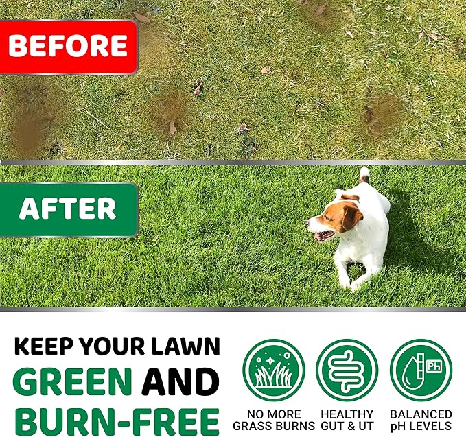 YUMA'S Dog Urine Neutralizer for Lawn - 170 Chews - Advanced Grass Green Savers for Dog Urine - Canine Pee Grass Neutralizer Supplement - Green Lawn Treats with Probiotics and Digestive Enzymes