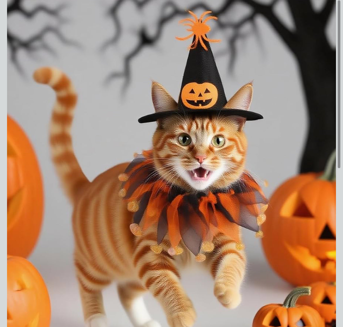 Halloween Costume for Cat Set, Pumpkin Theme Cat Witch Hat and Cloak Funny Halloween Outfit Accessories for Small Dogs Outfits (Small size)