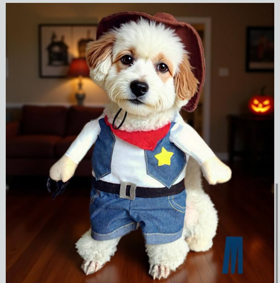 Cowboy Uniform Dog Cat Costume - Funny Pet Cowboy Outfit Clothing with Hat for Halloween Christmas Birthday Special Events Costumes for Kittens and Puppies- ( XS to L size)